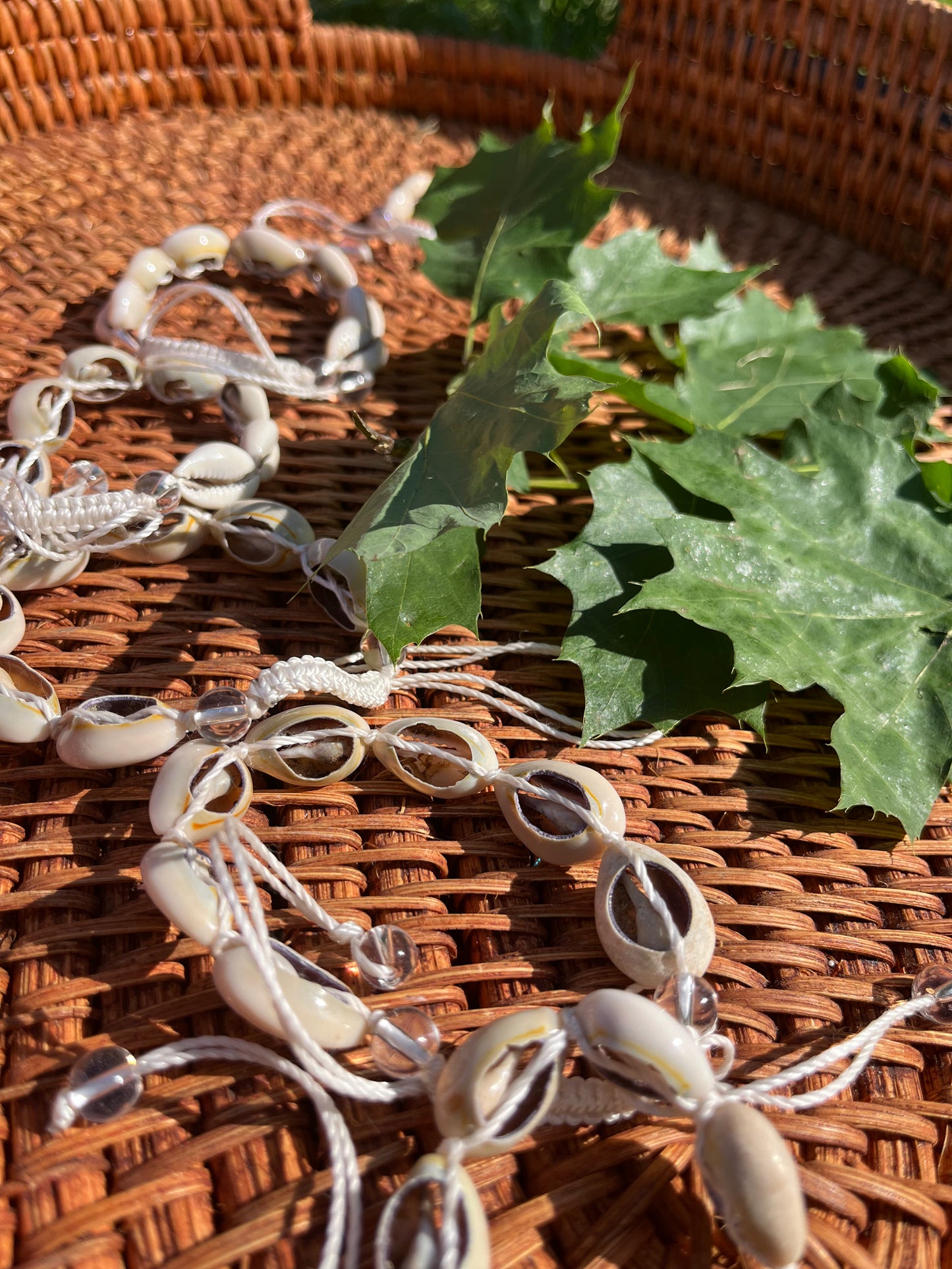 Bracciali Cauri